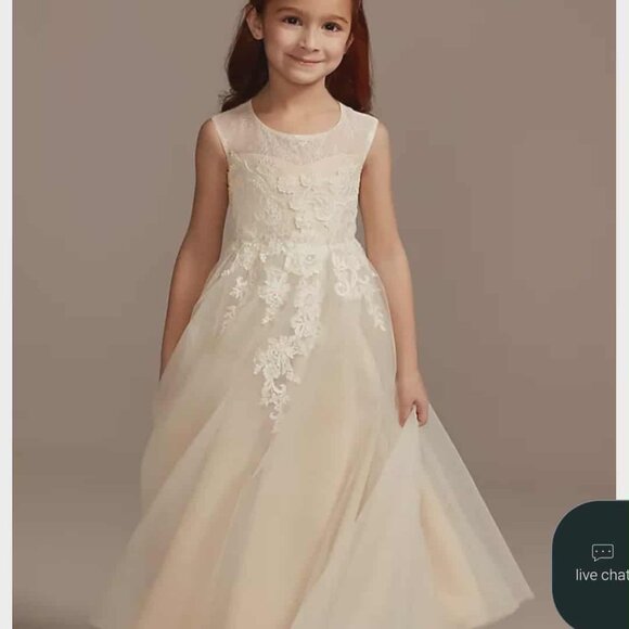 Flower GirI- Ivory Lace Tulle Wedding Dress – Sleeveless Floral Appliqué - Picture 1 of 12